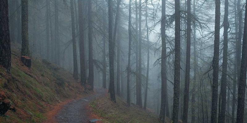 从直觉到智能：数据驱动决策如何重塑企业战略与市场竞争力