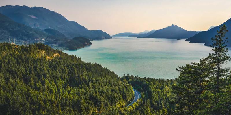 敏捷组织革命：如何通过架构与流程再造，在不确定性中赢得先机